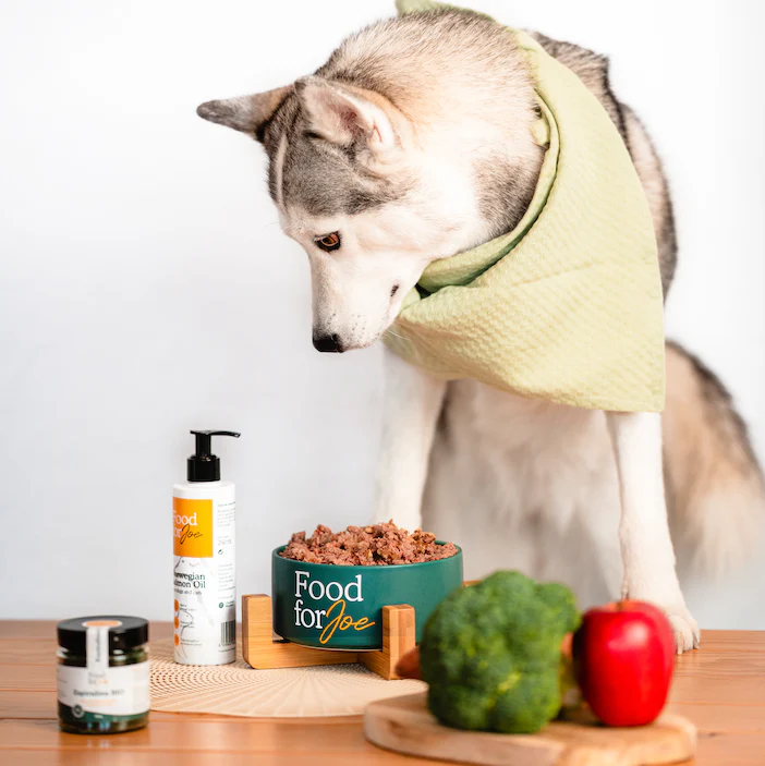 Aceite de Salmón - Suplemento 100% natural para perros y gatos - Image 3