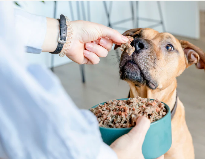 Beefit - menú de ternera para perros 200g - Image 3