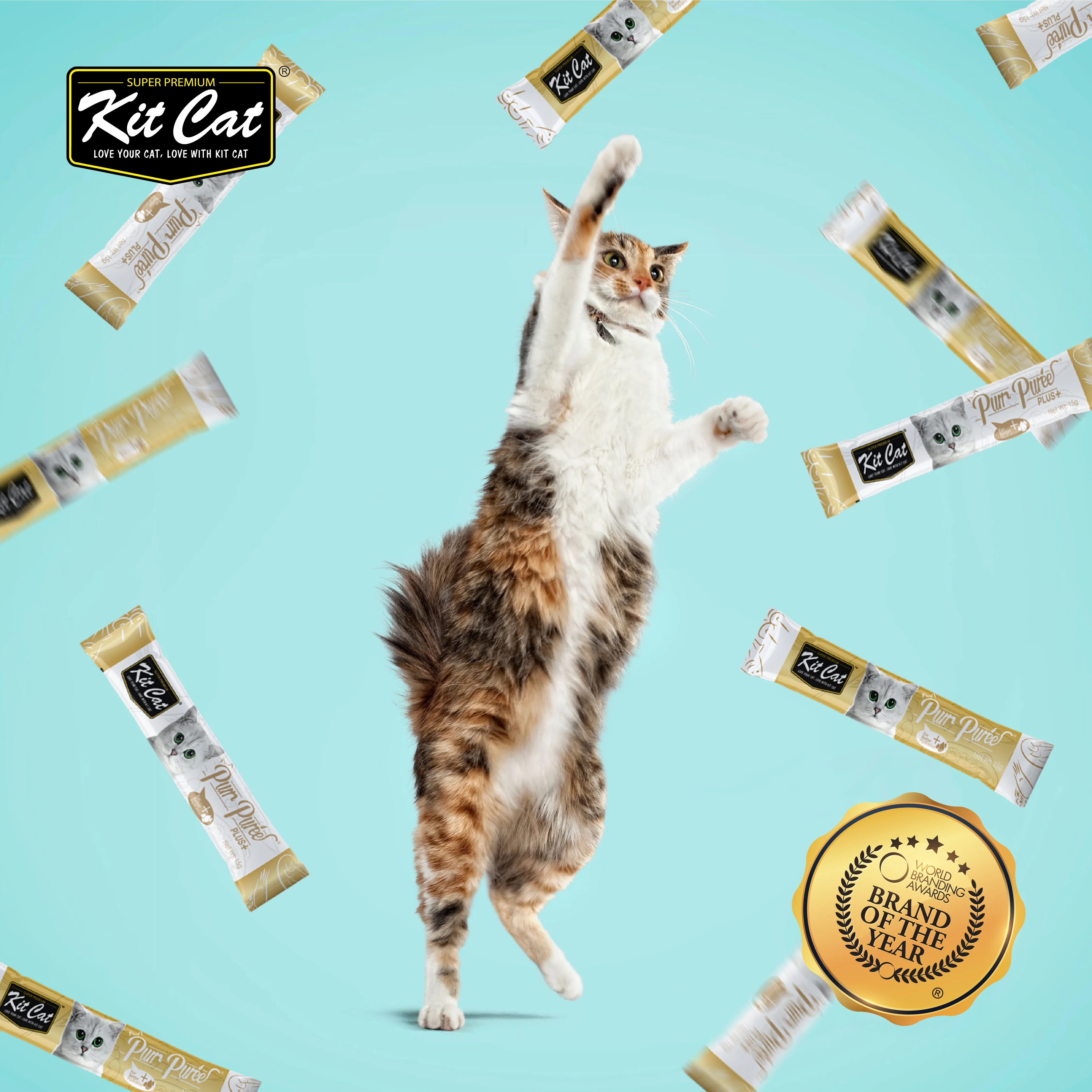 Kit Cat PurrPuree - Pollo y Fibra (Hairball) 60g (4x15g) - Image 3