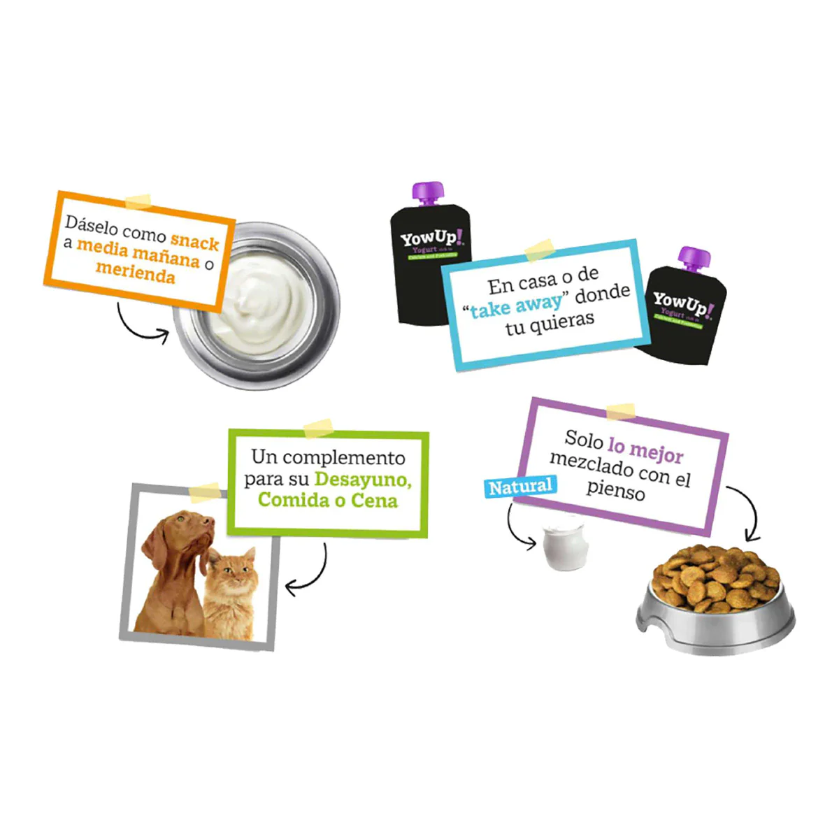 Yogur Natural para Perros Yow Up con prebióticos - Image 3