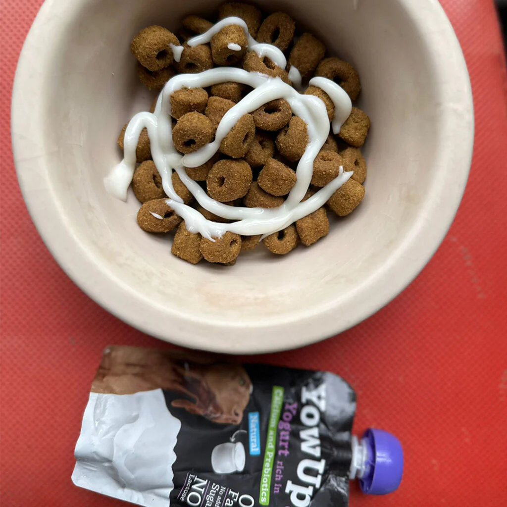 Yogur Natural para Perros Yow Up con prebióticos - Image 4