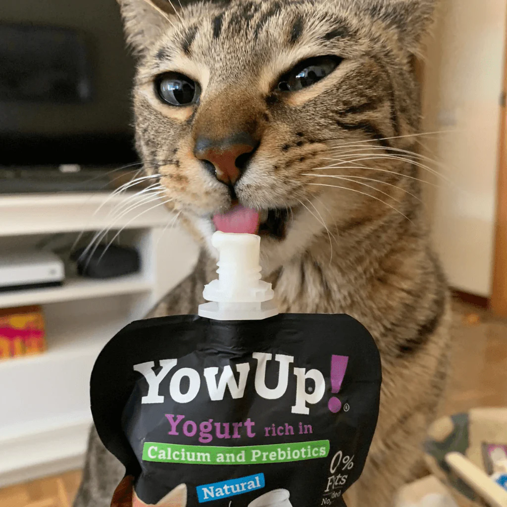 Yogur Natural para Gatos Yow Up con Calcio y Prebióticos  - Image 2